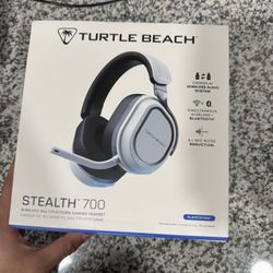 Turtle Beach Headset