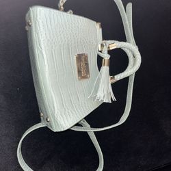 Bebe Green Alligator Purse 