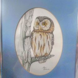 8 x 10 Framed & Signed Owl Wall Picture