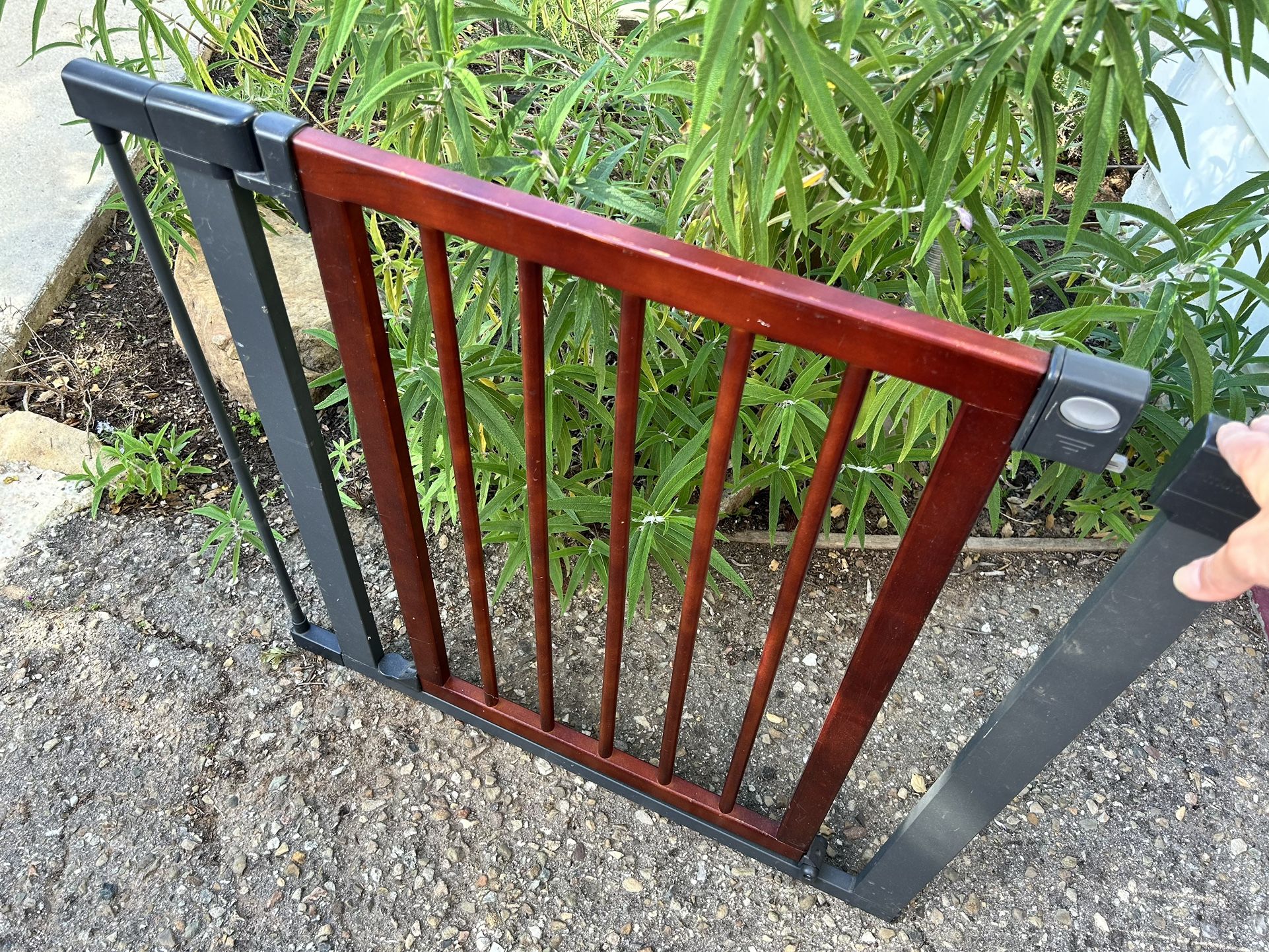 Baby Gates (2)