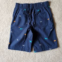 Boys Shorts  With Dinosaurs On Them