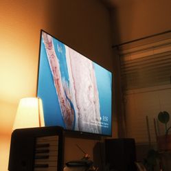 Sony Tv And Mount 
