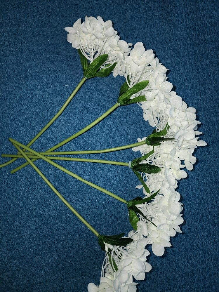 White Hydrangea Flowers