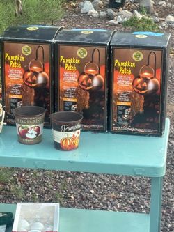 Pumpkin patch le