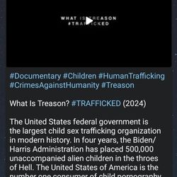 Designer Purses Bags