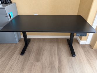 Electric Height-Adjustable Desk – $130 OBO
