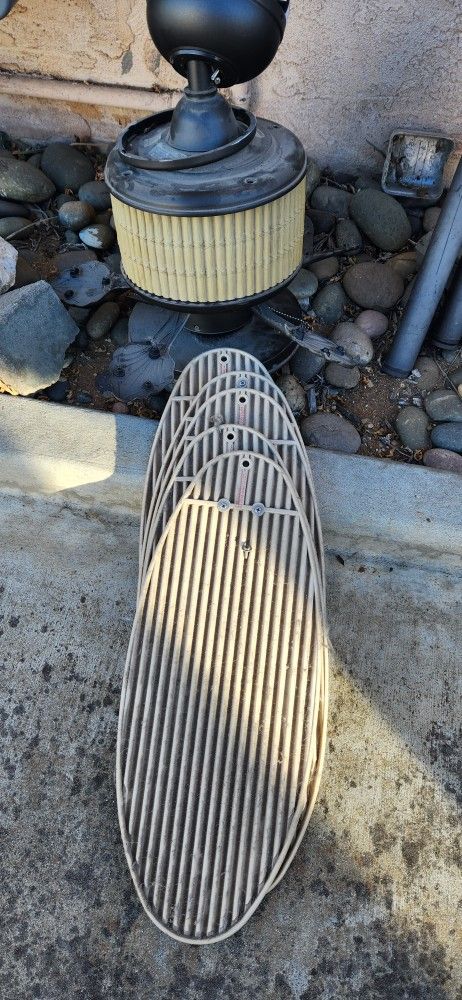 Ceiling Fan & Sliding Glass Closet Doors