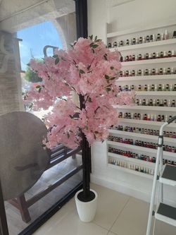 Decorative Plant