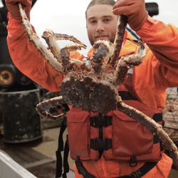 King Crab (Personally Caught) 