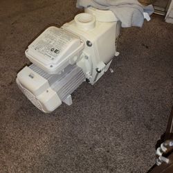 Pool Pump