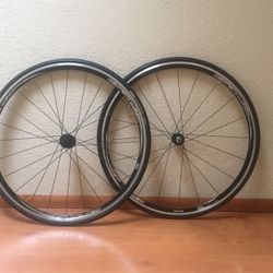 FSA Wheels/Campy 11spd compatible