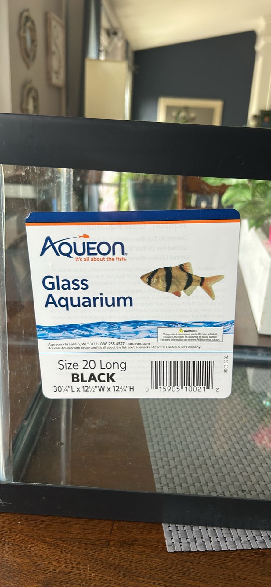 Glass Aquarium