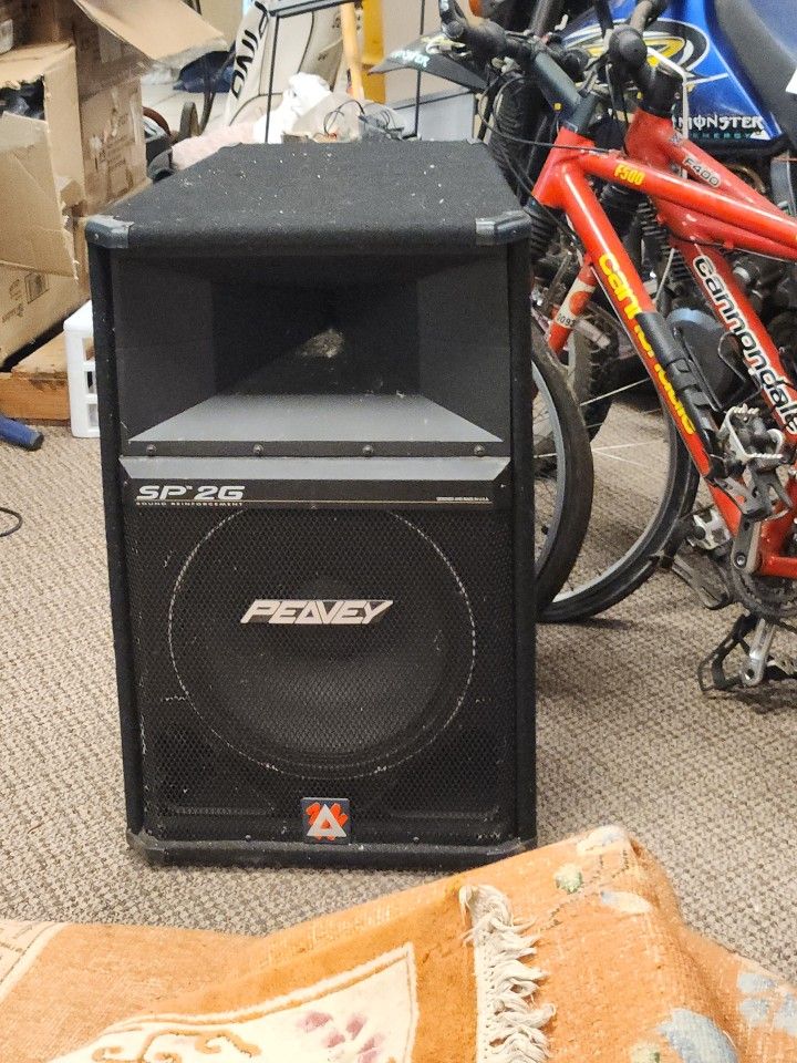 Large Peavey speaker.