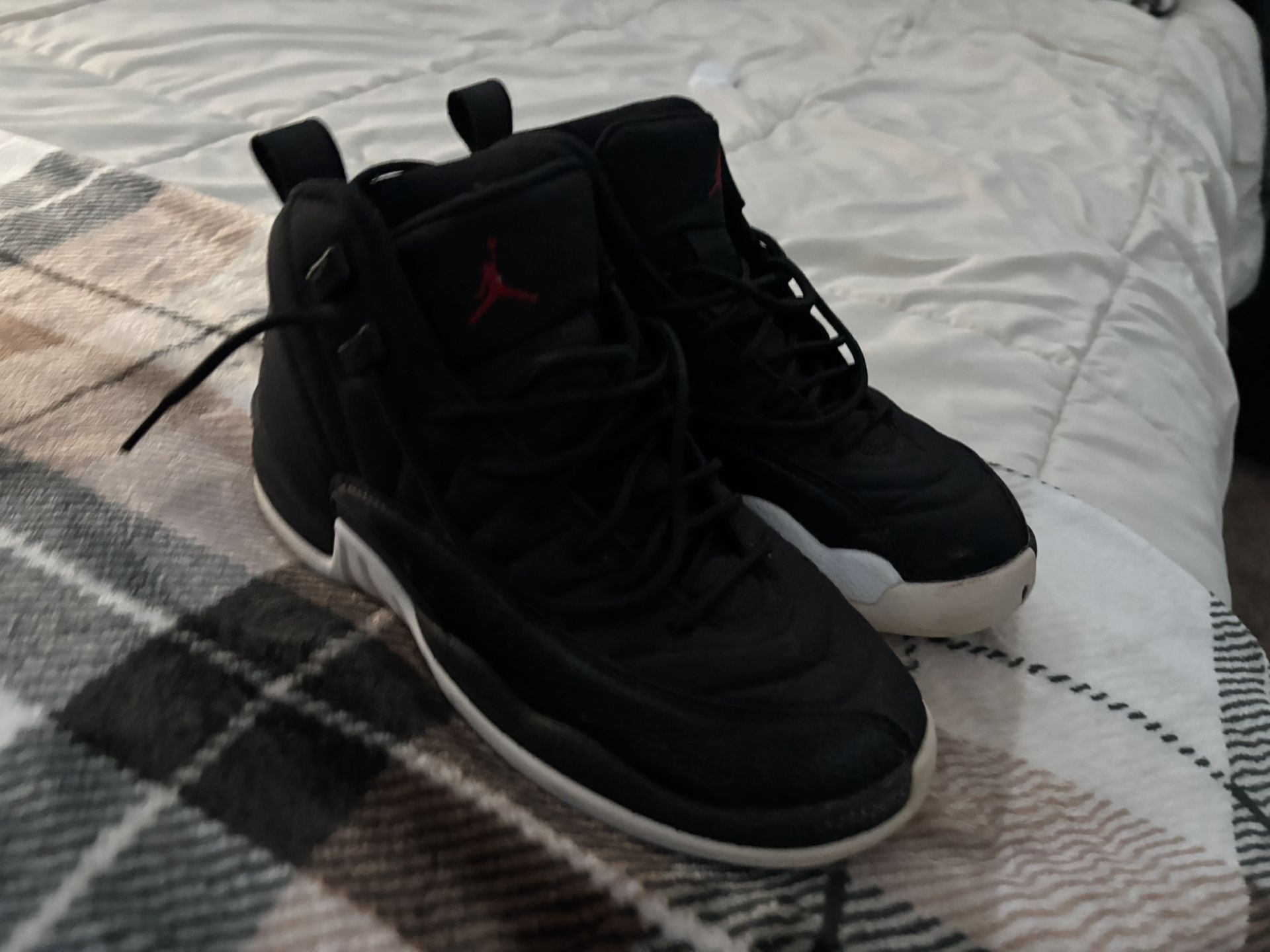 Air Jordan 12