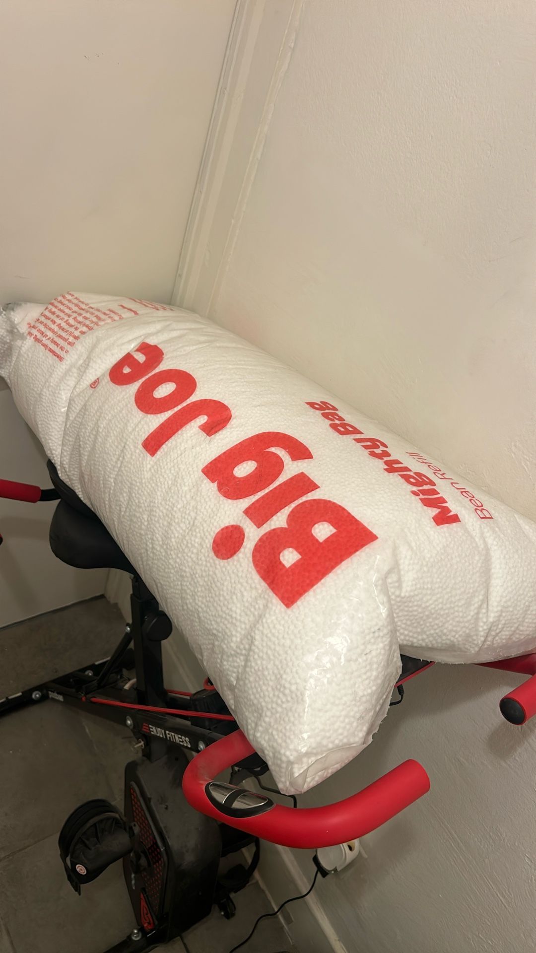 Bean Bag Refill