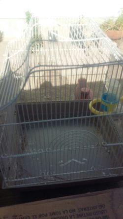 Birds cage