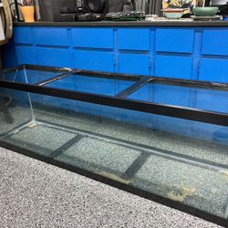 125 Gallon Aquarium