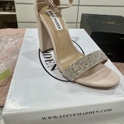 Steve Madden