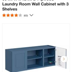 Cabinet with 3 Shelves