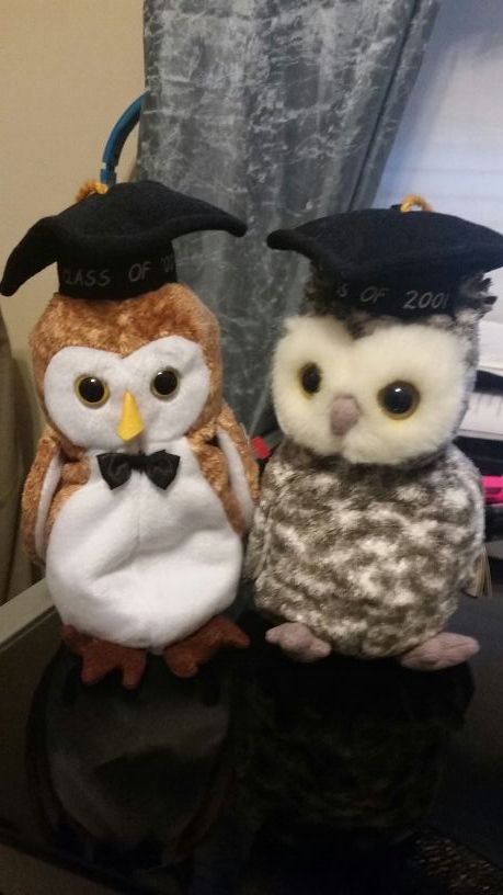 Ty beanie babies Owls