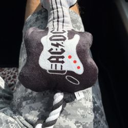 New AC/DC Dog Toy