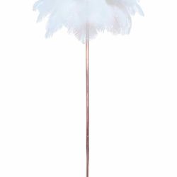 ZYLEISENBAO Ostrich Feather Floor Lamp 