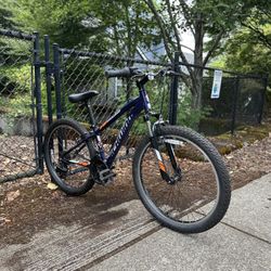 24 Inch Kids Schwinn Bike