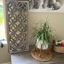 2 Circle Wall Frames