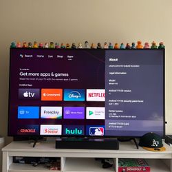 65” Sony Bravia TV