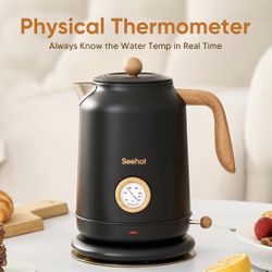 Electric Kettle with Thermometer