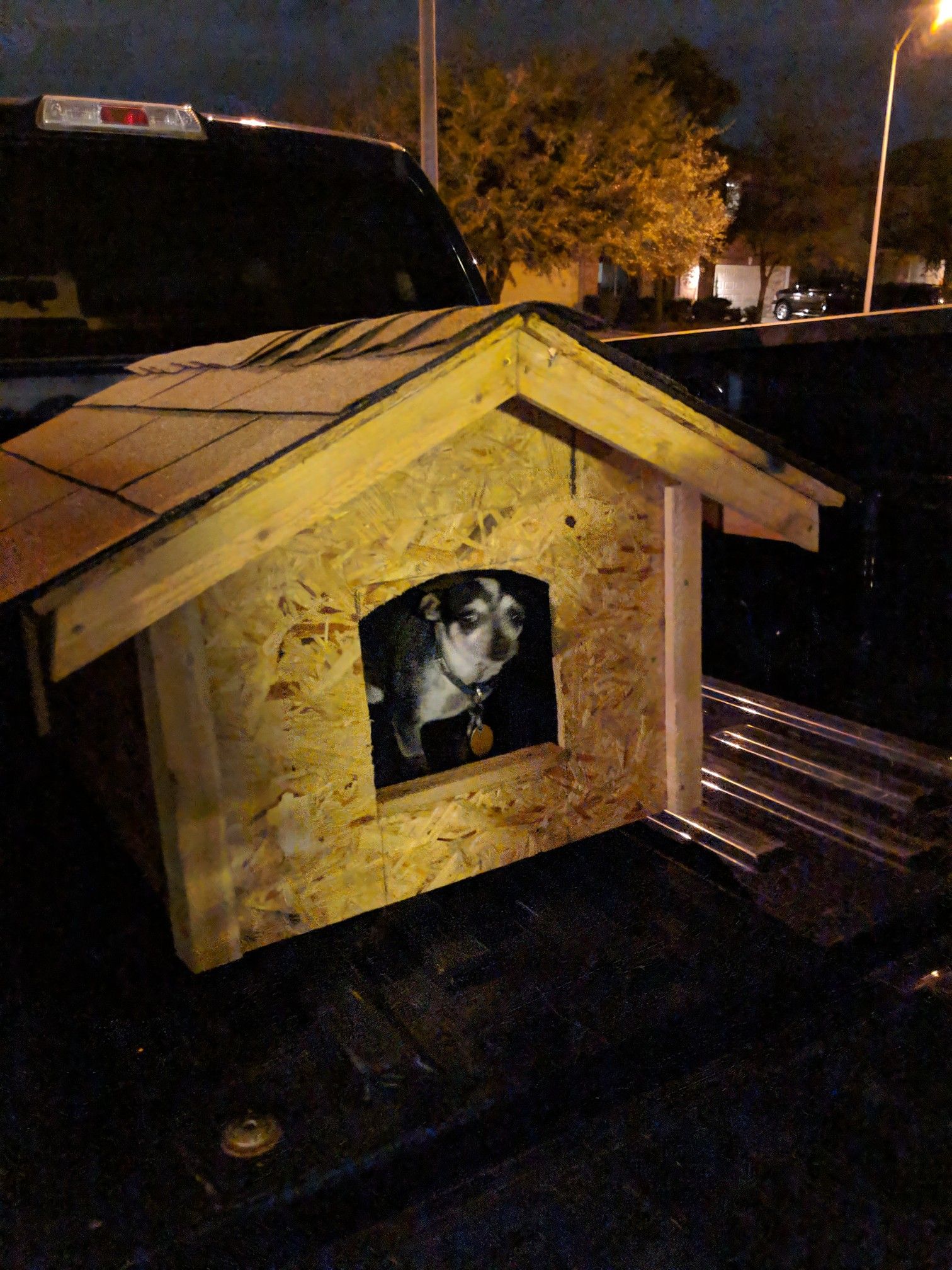 Dog Abode, All sizes