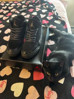 Black cat 3s