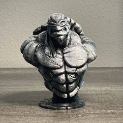 Teenage Mutant Ninja Turtle