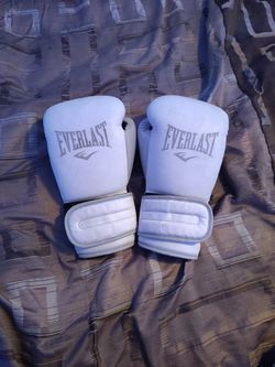 12 oz Everlast Boxing Gloves