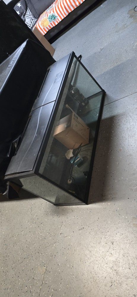 Fish Tank