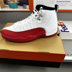 Air Jordan 12 Retro Size 12