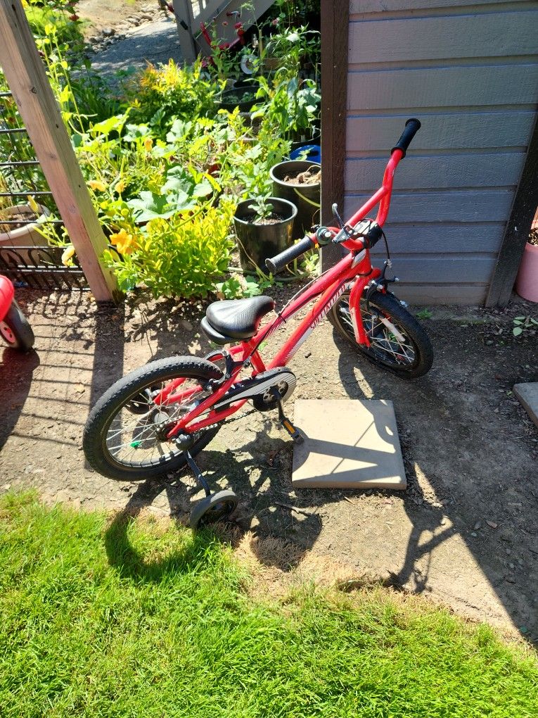 Kids 16' Bike With Supporting Wheels