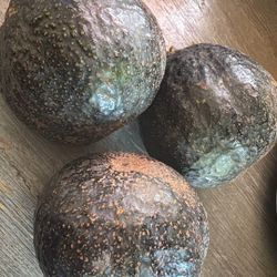 Avacados 