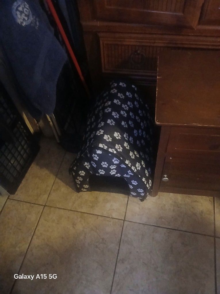 Tent For A Cat Or Dog