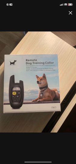Remote dog color trainer