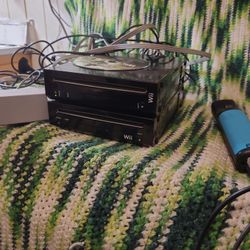 What You See Is What You Get In The Pictures 