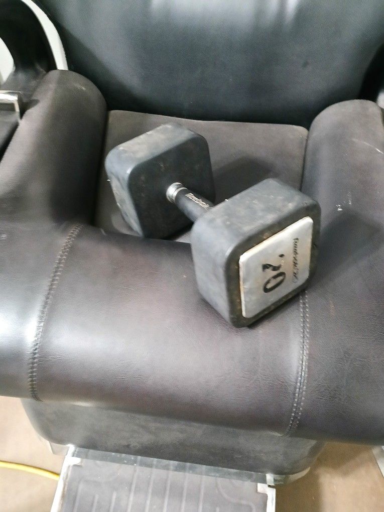Dumbbell 20 Lb