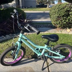 Guardian 14” kid’s Bike