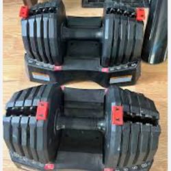 Weider Adjustable Dumbells 