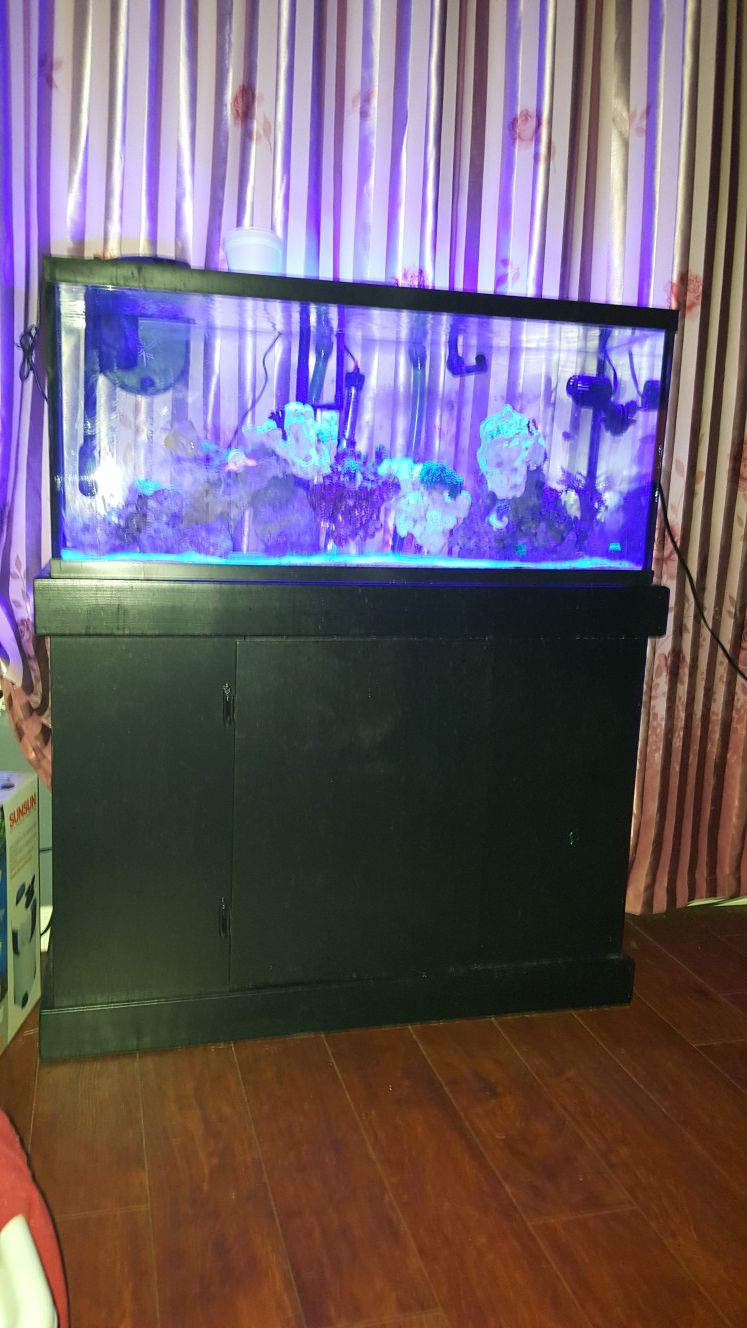 Empty 30 gallon fish tank stand for sale