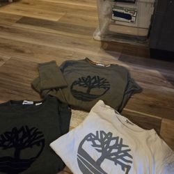 Timberland Shirts - 1 Tshirt & 2 Long Sleeves