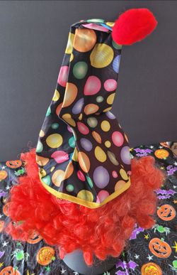 Clown Hat with Curly Wig
