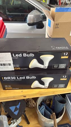 LED Floodlights 12 pack