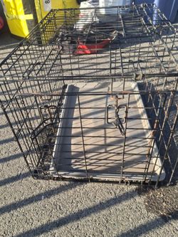 Kennel 19"tall ×30"wide ×21" long or deep