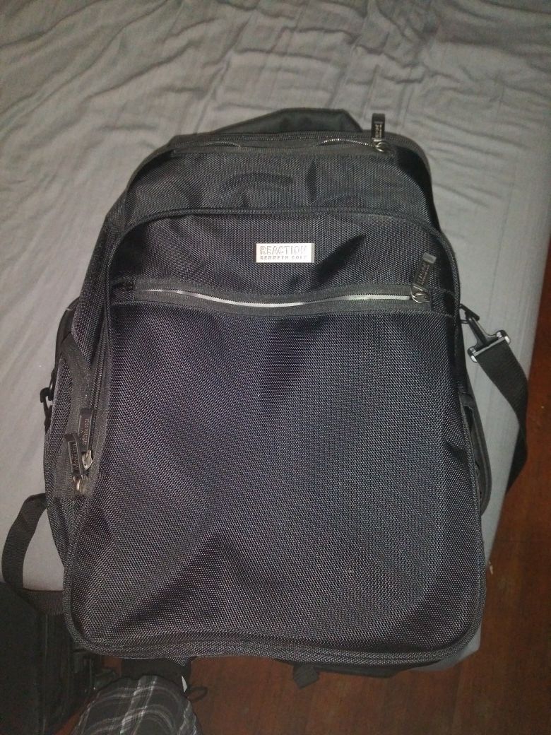 Backpack/Laptop Carrier